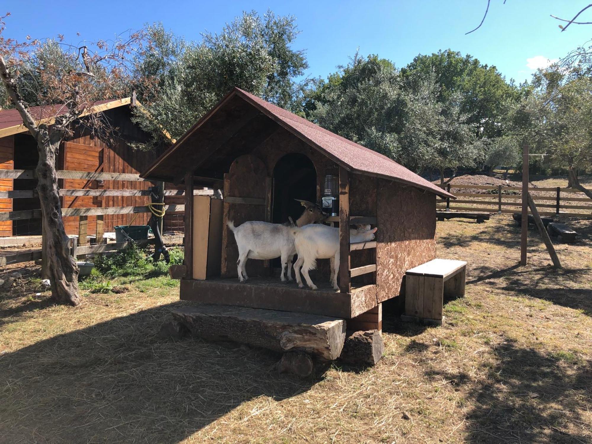 Centro Vacanze San Marino Zewnętrze zdjęcie